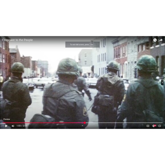 Firepower to the People Democracy Dies Disarmed Documentary DVD Deplorable Films - Picture 8 of 8